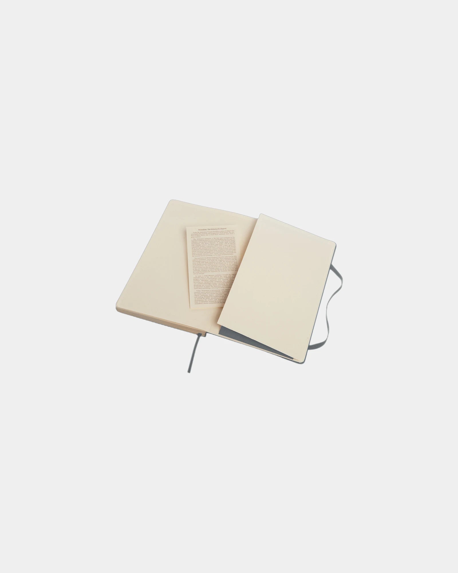 Notitieboek Moleskine Classic L om te personaliseren - 8