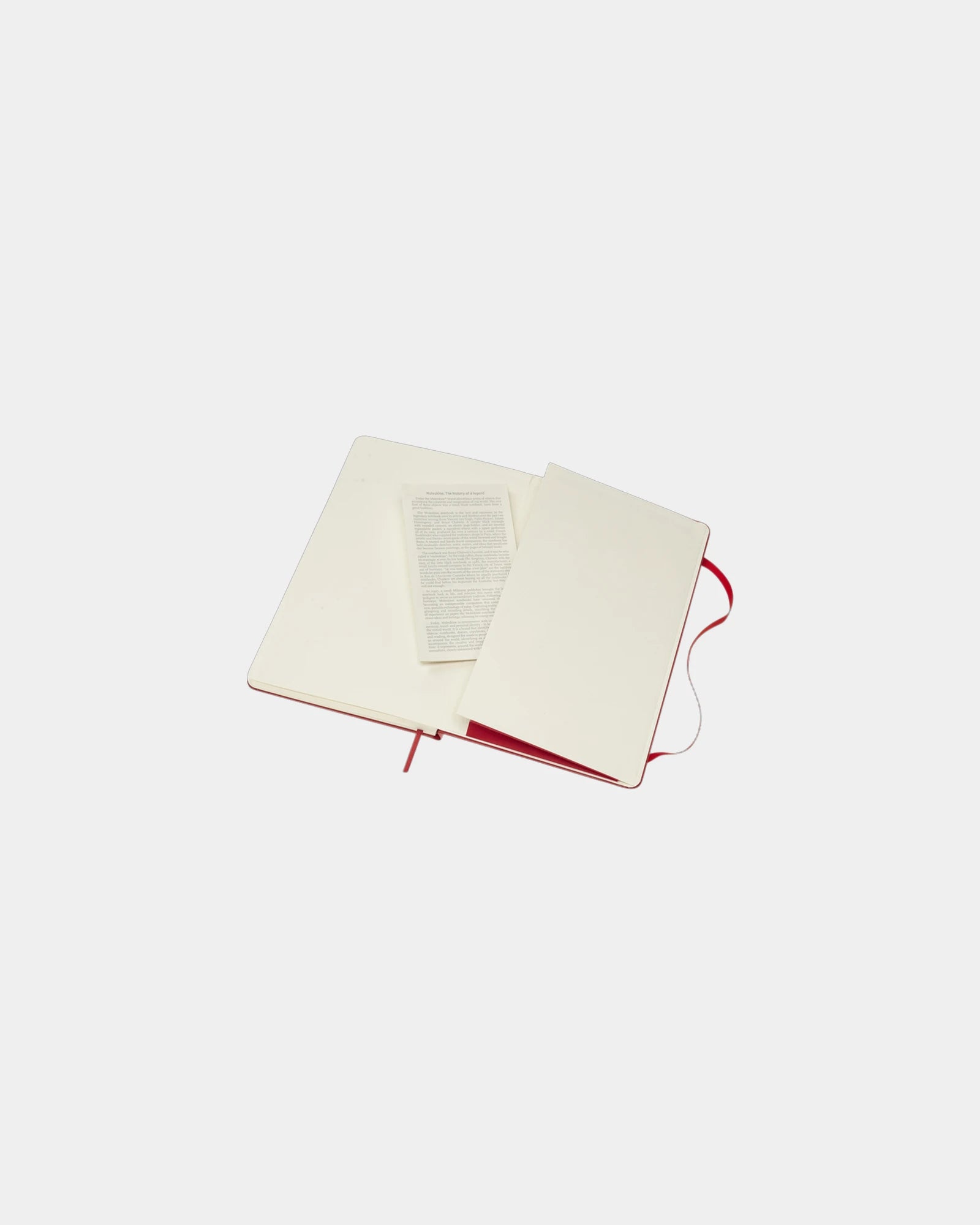 Notitieboek Moleskine Classic L om te personaliseren - 25