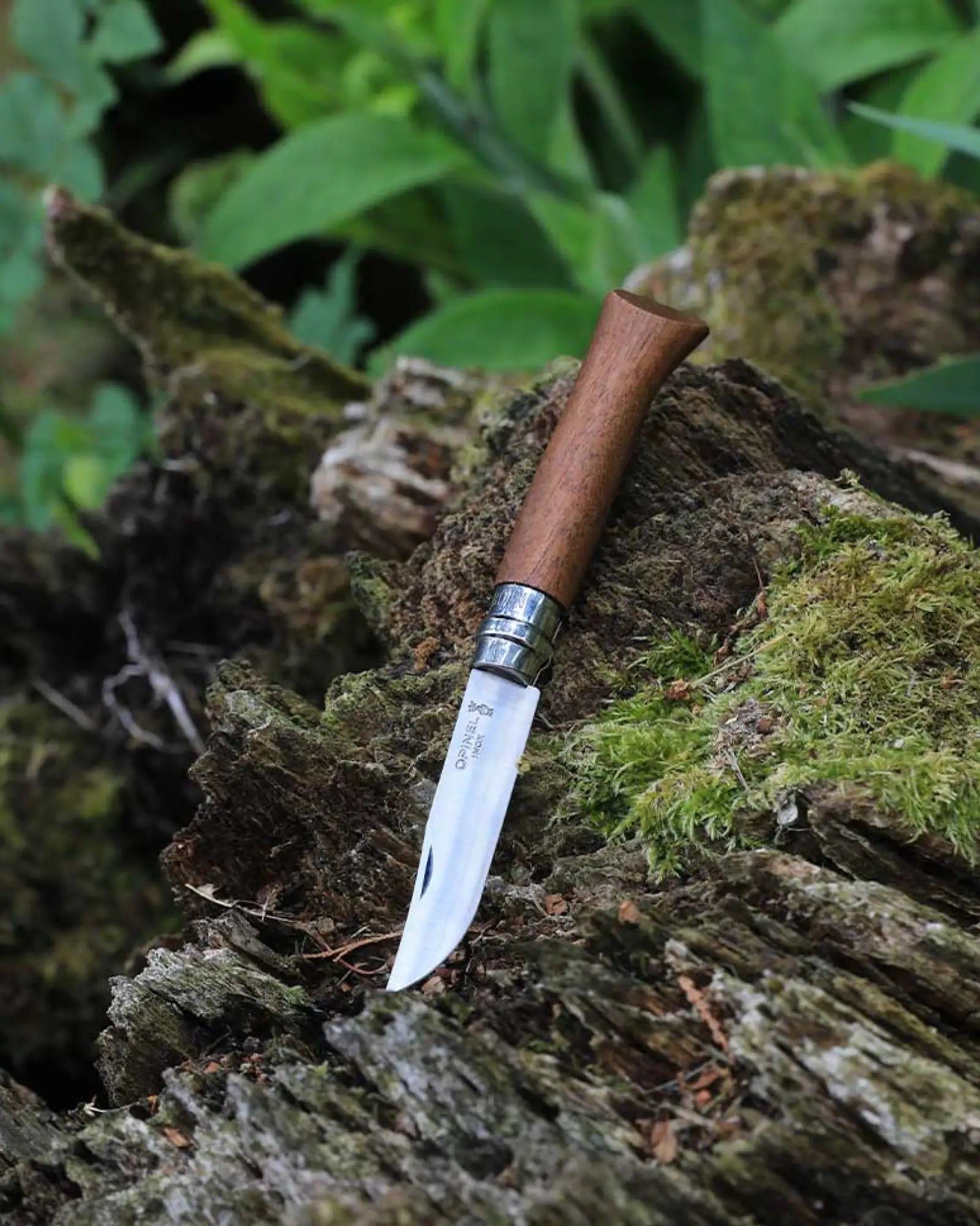 Personaliseerbaar mes Opinel N°09 Chêne om te personaliseren - 7