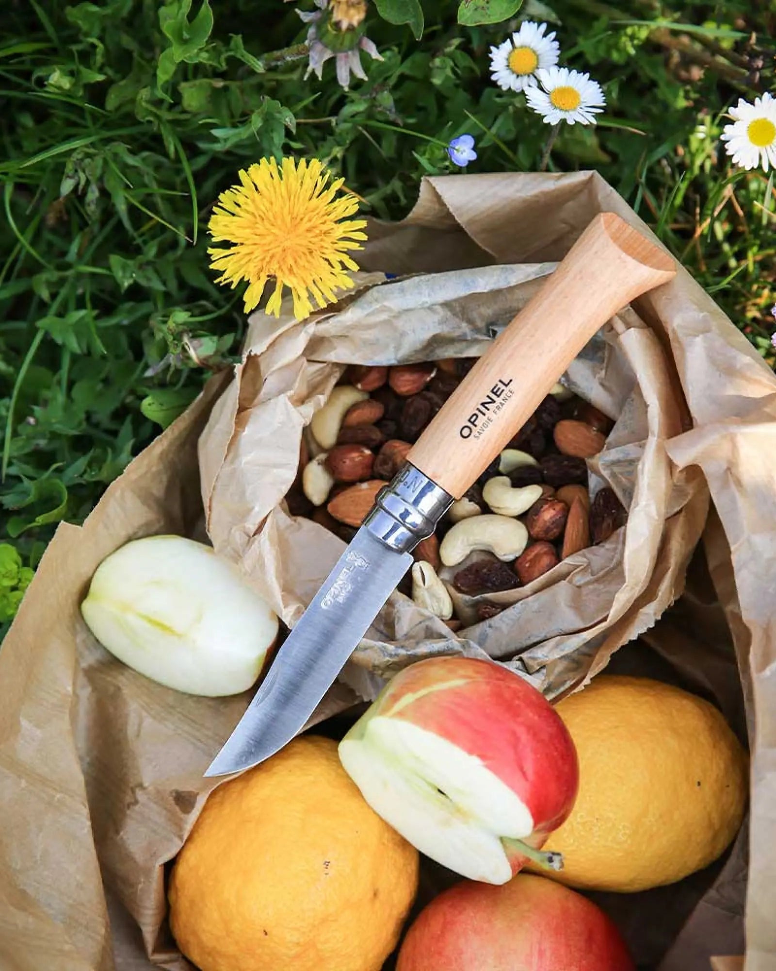 Zakmes roestvrij staal Opinel N°08 om te personaliseren - 6