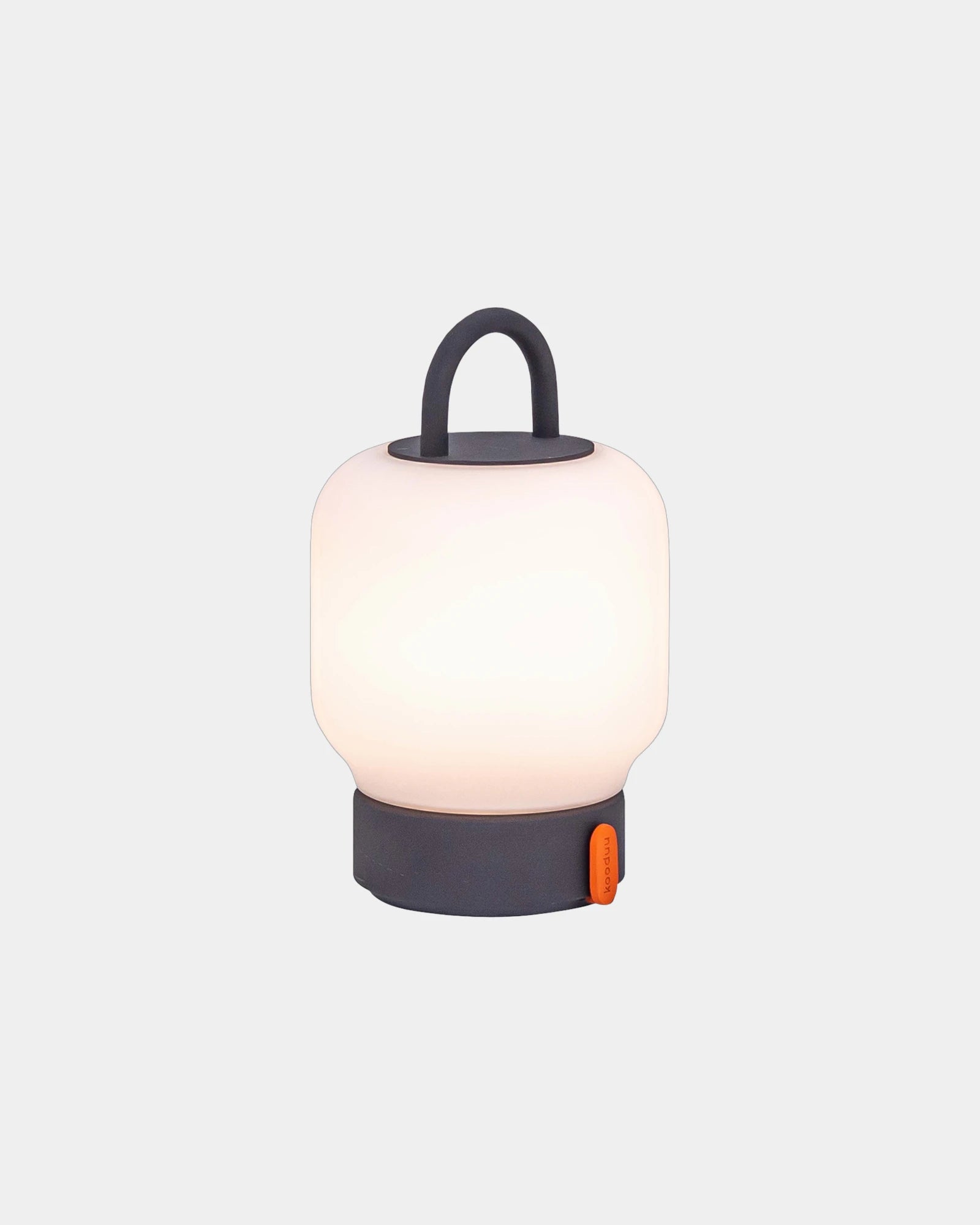 Draagbare lamp Loome dimbaar 4.000 mAh om te personaliseren - Antraciet
