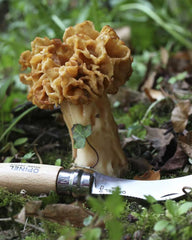 Paddenstoelenmes Opinel N°08 om te personaliseren - 4