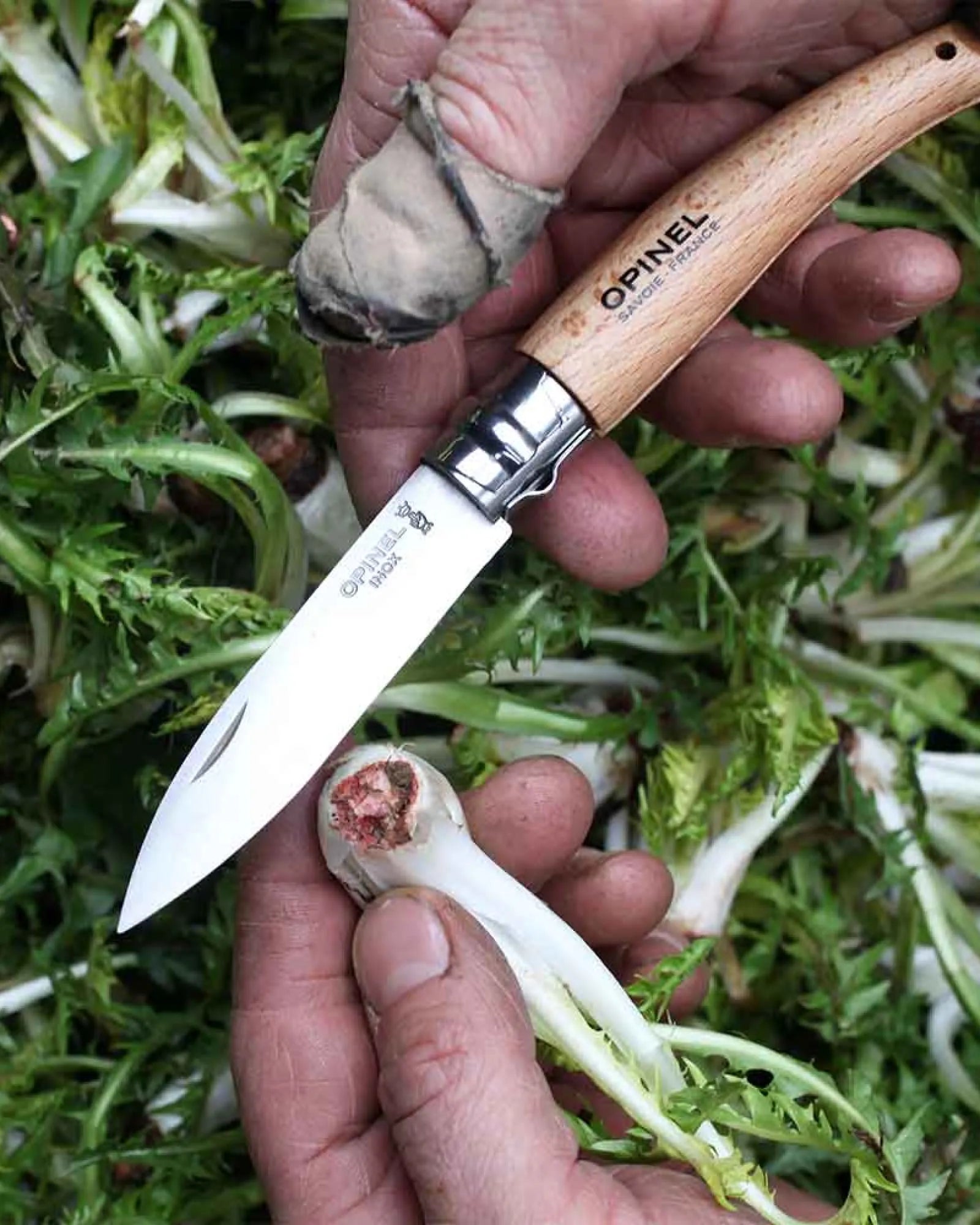 Tuinmes roestvrij staal Opinel N°08 om te personaliseren - 4