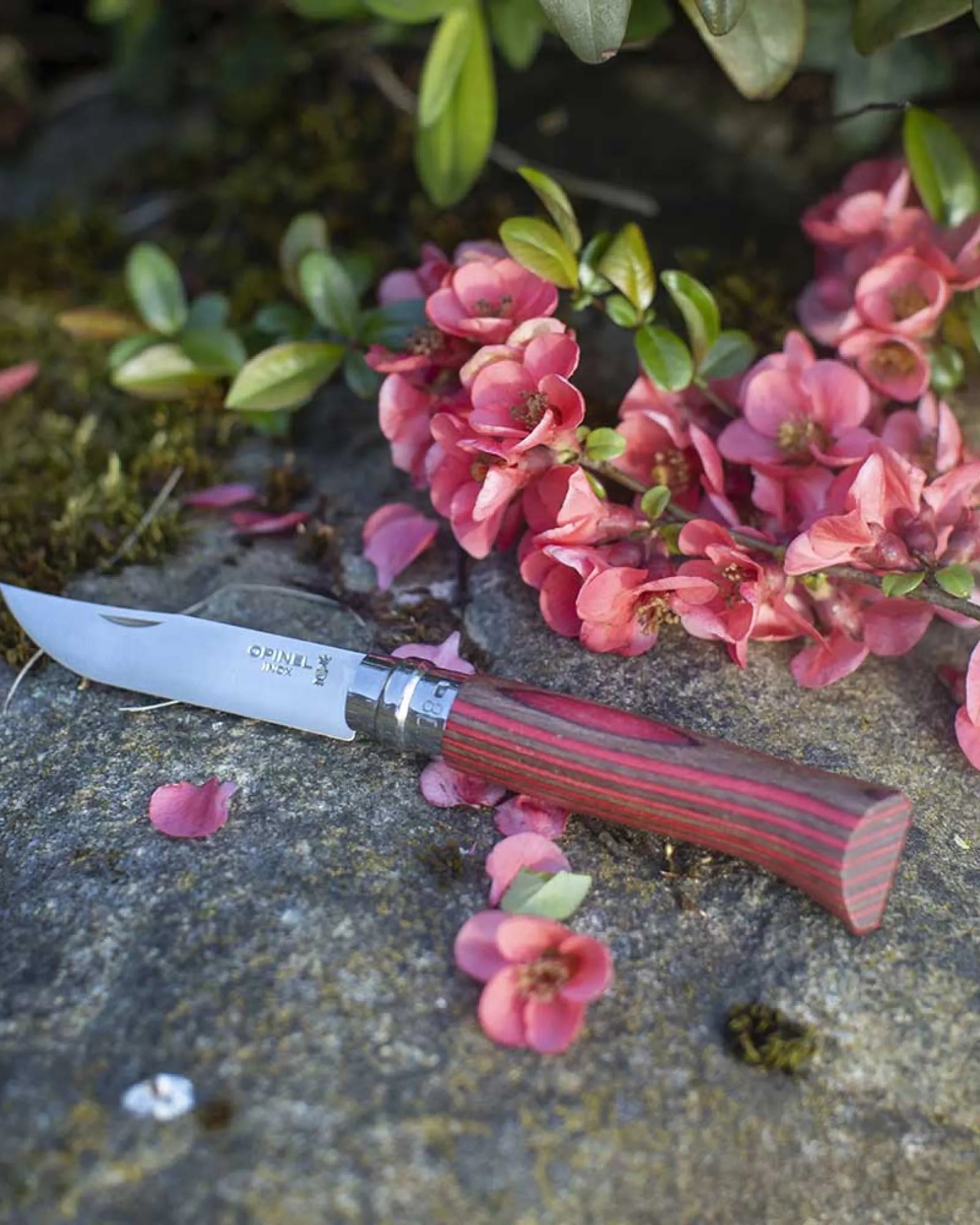 Mesje Opinel N°02 Carbone om te personaliseren - 14