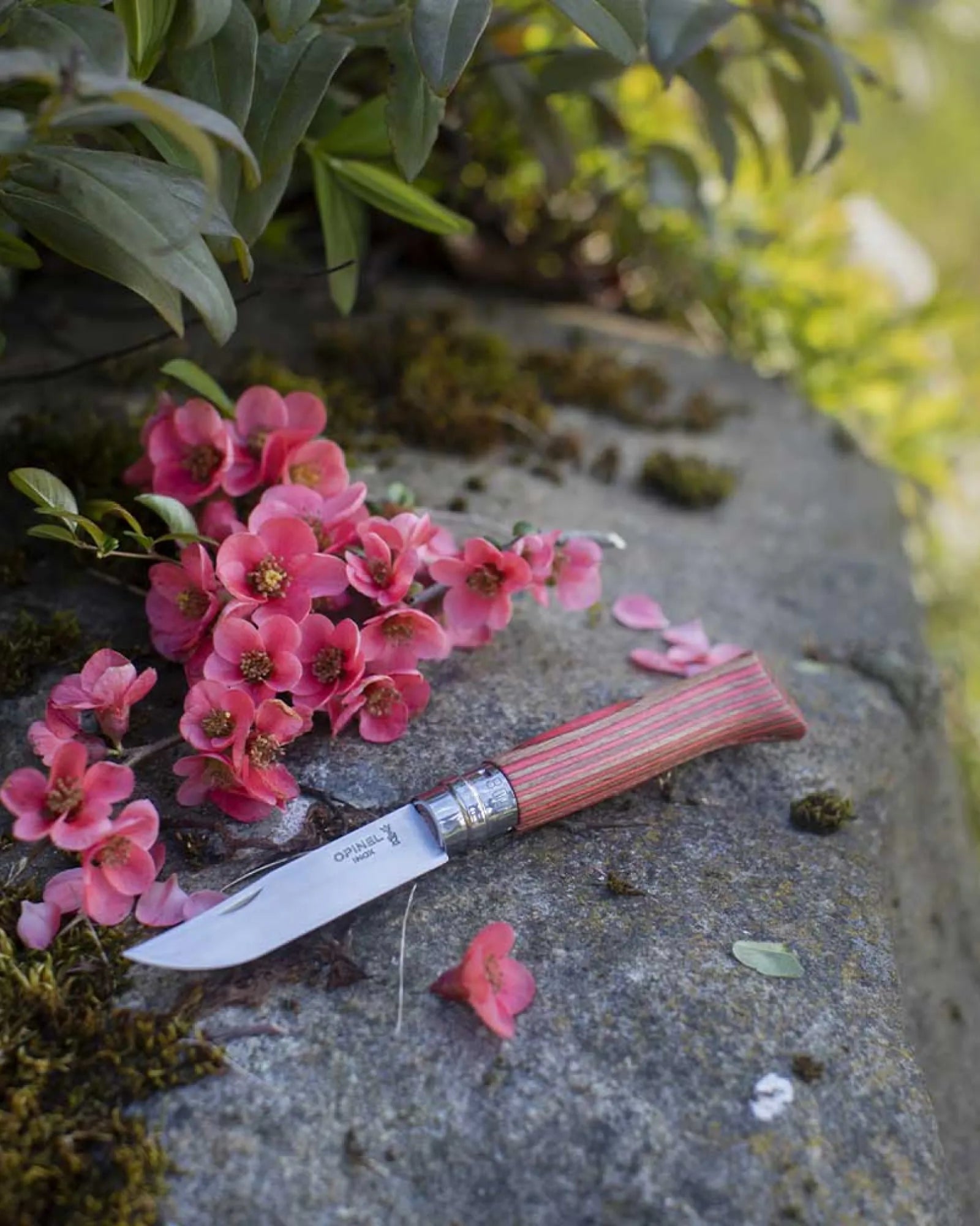 Mesje Opinel N°02 Carbone om te personaliseren - 15