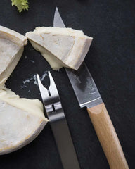 Kaasmesset roestvrij staal Opinel om te personaliseren - 6