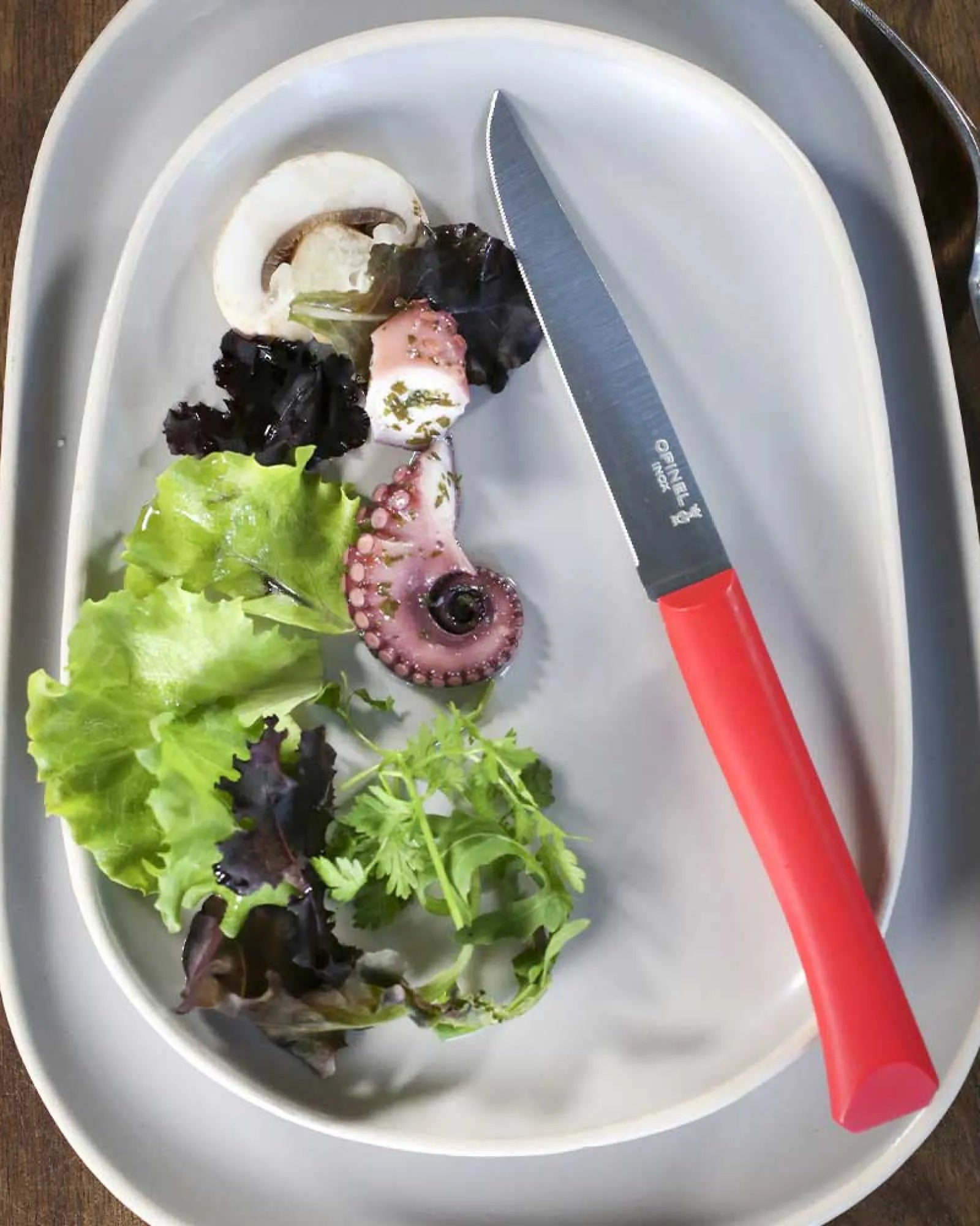 Tafelmes Opinel Bon Appétit+ om te personaliseren - 7