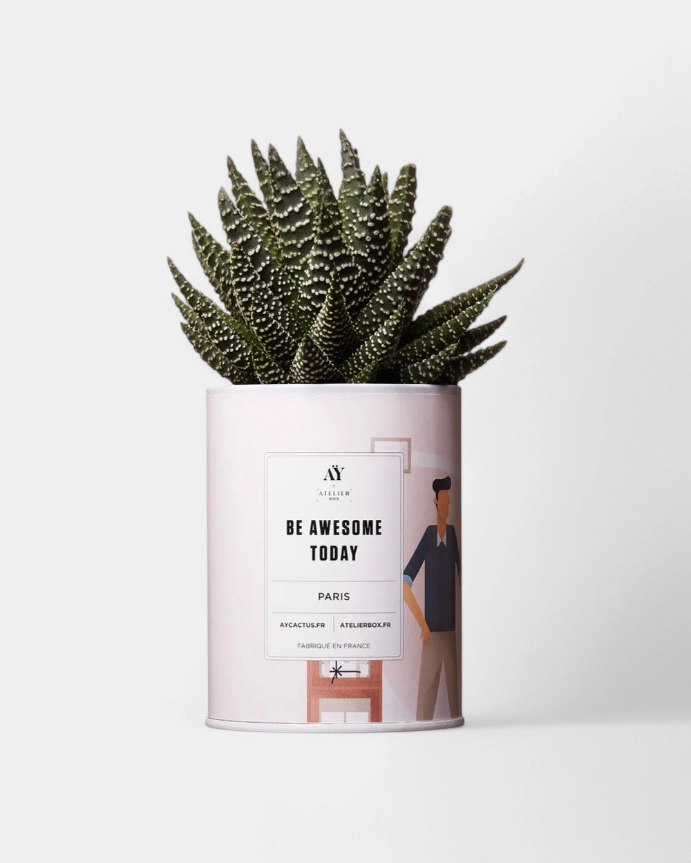 Cactus 100% Personaliseerbaar - Ay Cactus - 2