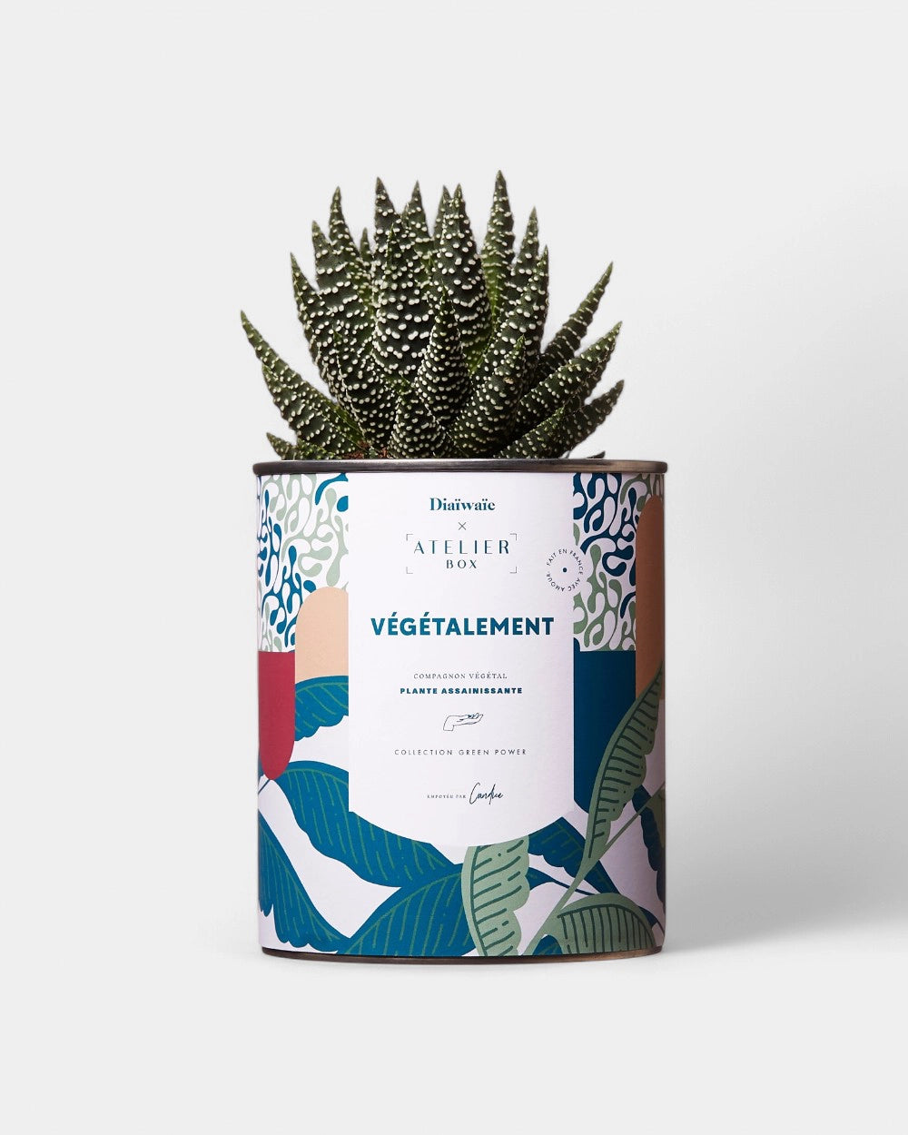 Cactus 100% personaliseerbaar Diaiwaie - 4