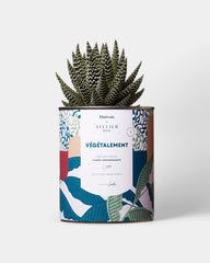 Cactus 100% personaliseerbaar Diaiwaie - 4