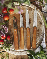 Messenset olijfhout Opinel Essentiels om te personaliseren - 5