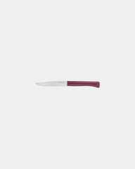 Messenset 4 stuks Opinel Bon Appétit om te personaliseren - 1