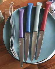 Messenset 4 stuks Opinel Bon Appétit om te personaliseren - 4