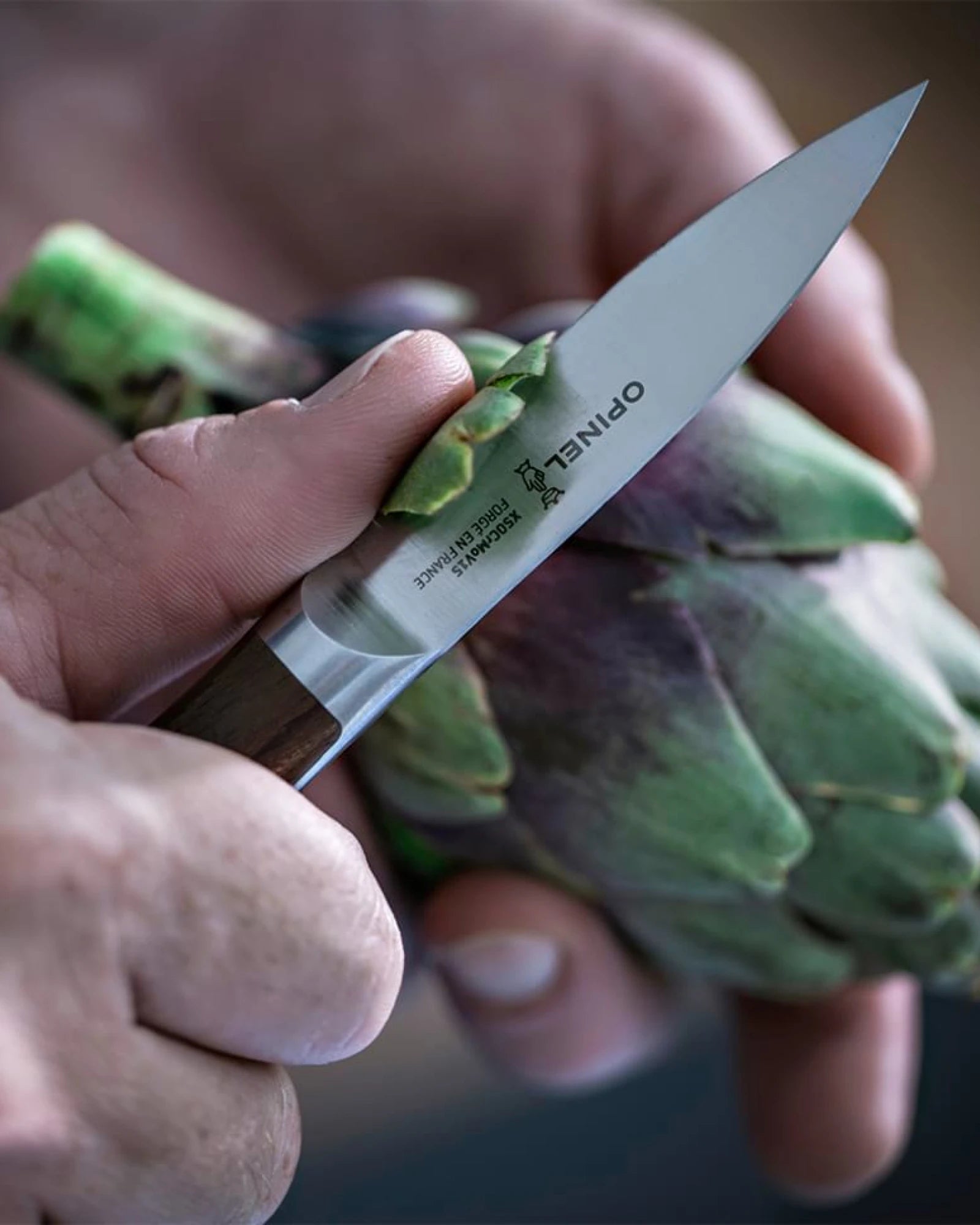 Opinel Les Forgés 1890 officemes om te personaliseren - 3