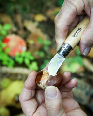 Kastanjemes roestvrij staal Opinel N°07 om te personaliseren - 4