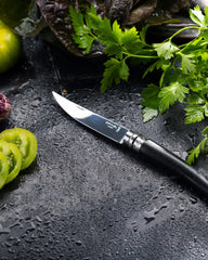 Zakmes beukenhout Opinel Effilé 8 om te personaliseren - 17