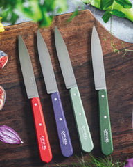 Messenset roestvrij staal Opinel N°112 om te personaliseren - 2
