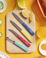 Messenset roestvrij staal Opinel Pop80 om te personaliseren - 2