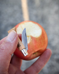 Zakmes roestvrij staal Opinel N°02 om te personaliseren - 3