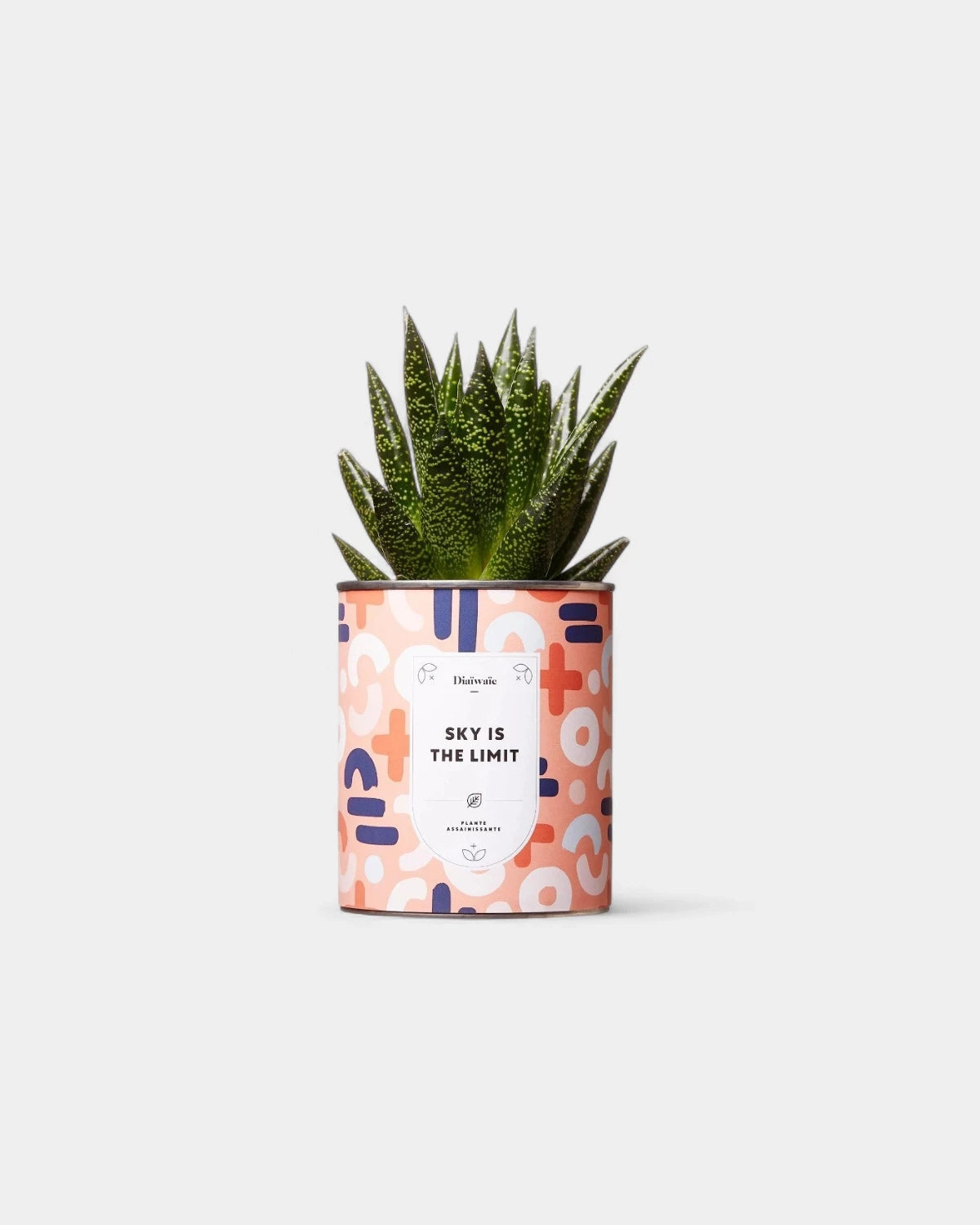 Cactus 100% personaliseerbaar Diaiwaie - 3