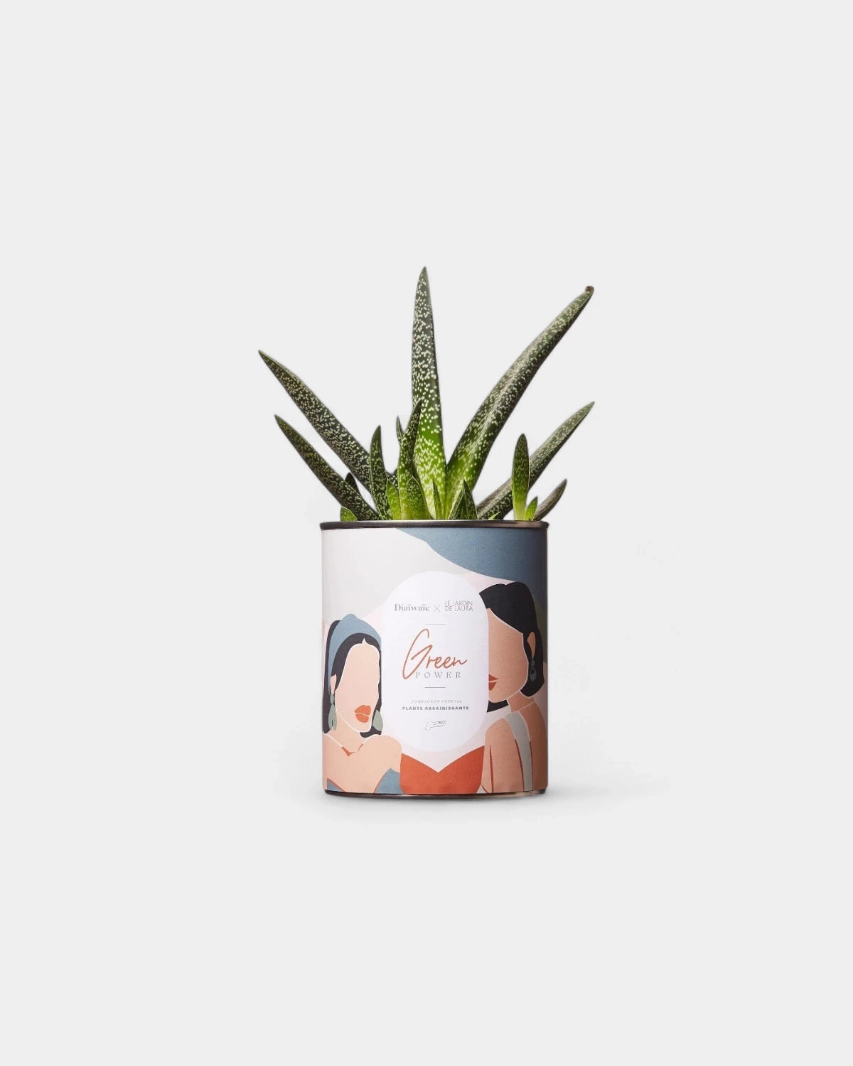 Cactus 100% personaliseerbaar Diaiwaie - 2