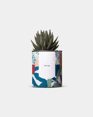 Cactus 100% personaliseerbaar Diaiwaie - 1