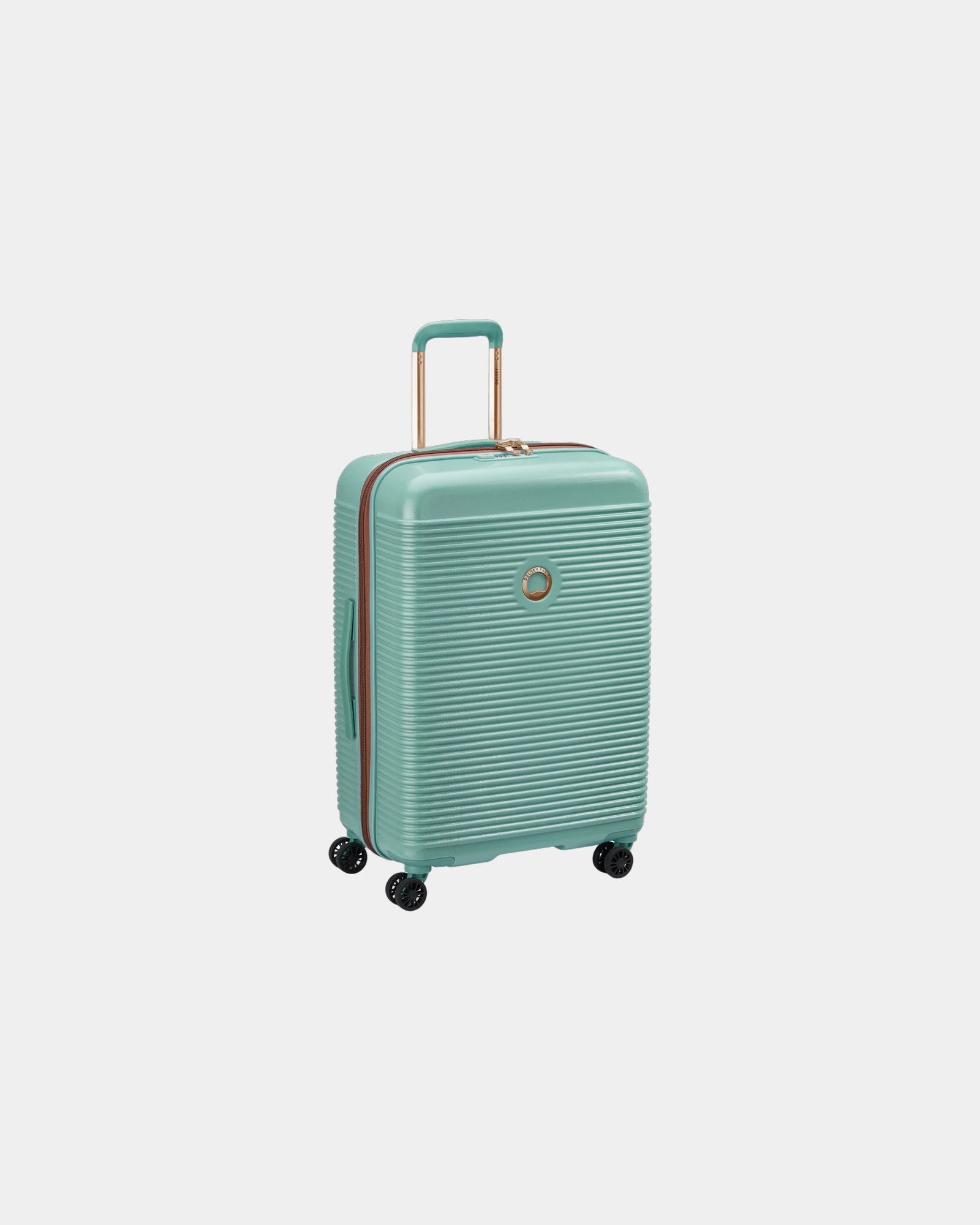 Koffer Delsey Freestyle M 66 cm om te personaliseren - 16