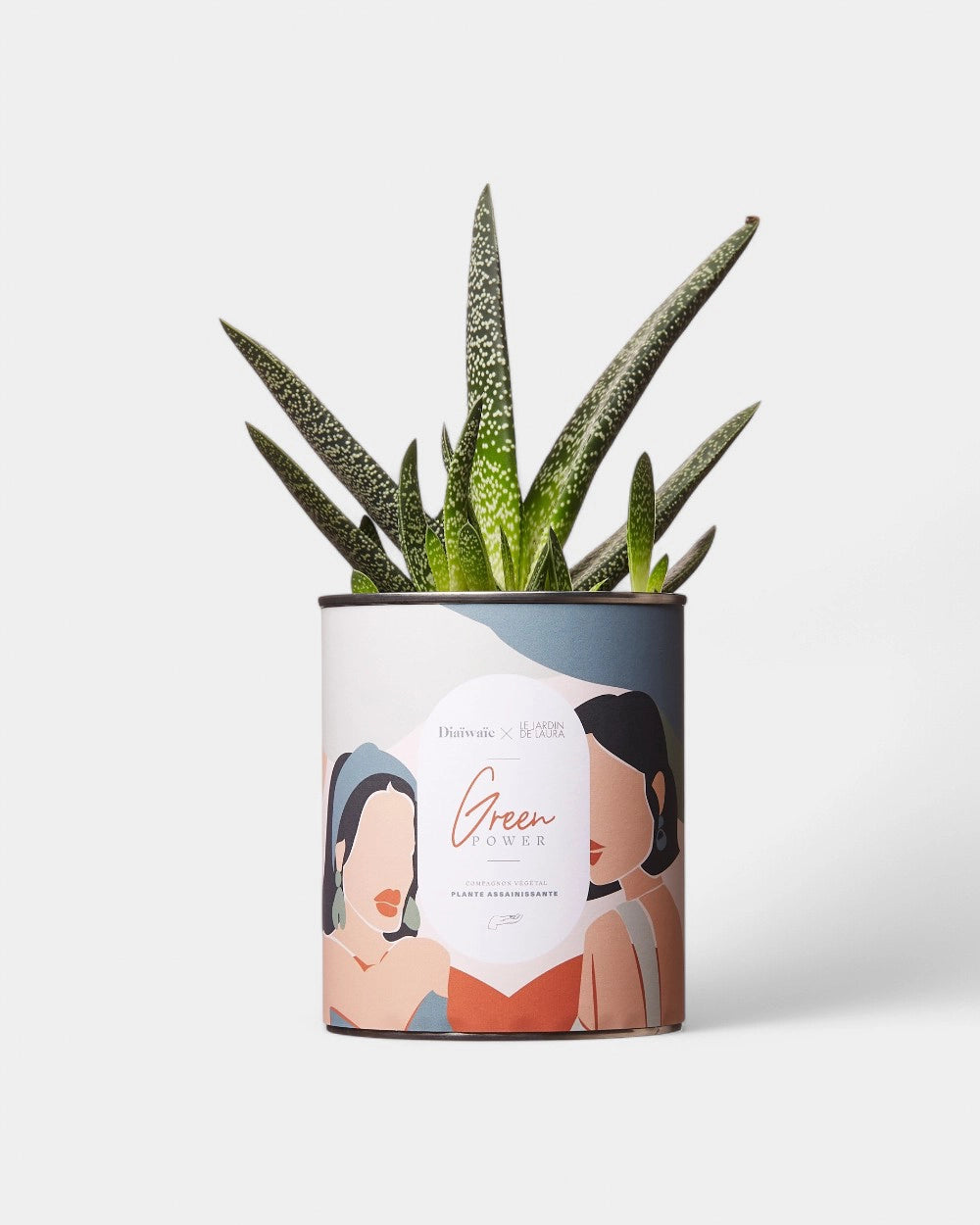 Cactus 100% personaliseerbaar Diaiwaie - 6