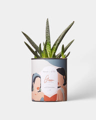 Cactus 100% personaliseerbaar Diaiwaie - 6