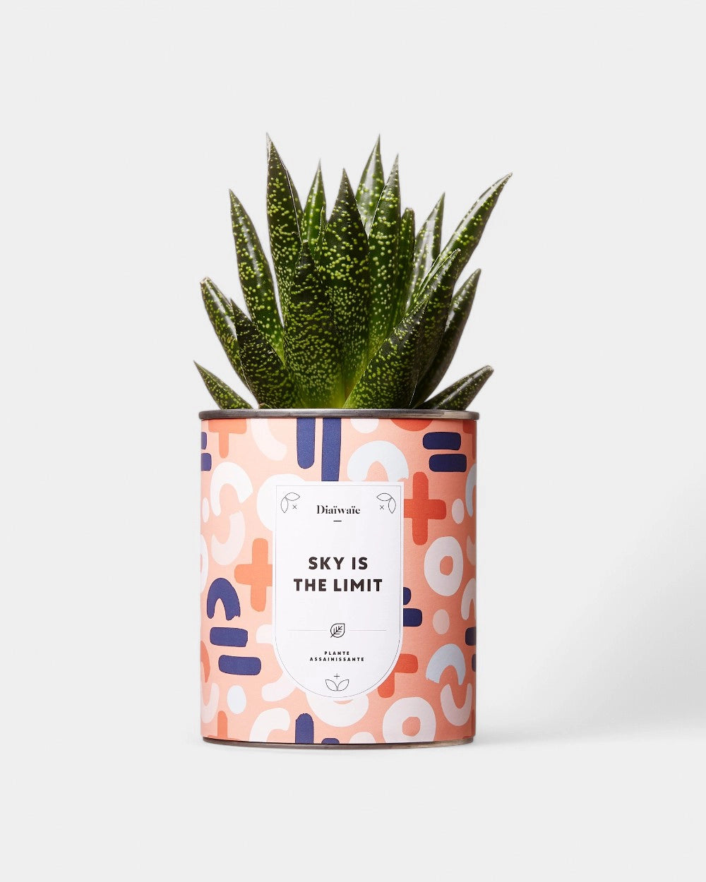 Cactus 100% personaliseerbaar Diaiwaie - 7