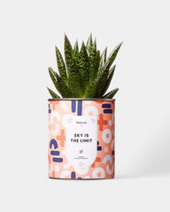 Cactus 100% personaliseerbaar Diaiwaie - 7