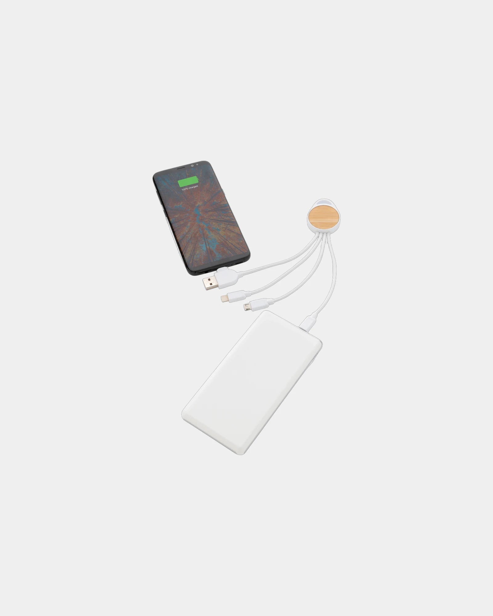 6-in-1 kabel van gerecycled plastic RCS om te personaliseren - 2