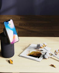 Speaker 10W gerecycled Anaheim om te personaliseren - 9