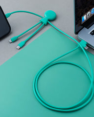 Multikabel 1m gerecycled Mr Bio Long om te personaliseren - 9