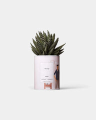 Cactus 100% Personaliseerbaar - Ay Cactus - 1