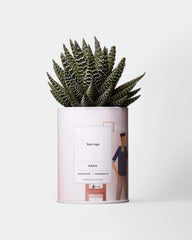 Cactus 100% Personaliseerbaar - Ay Cactus - 3